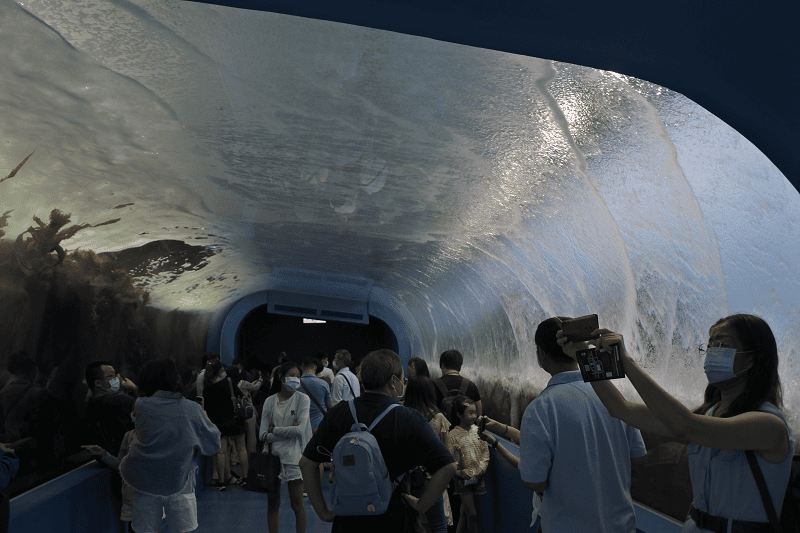 DSC_6060.png DSC_6060.png