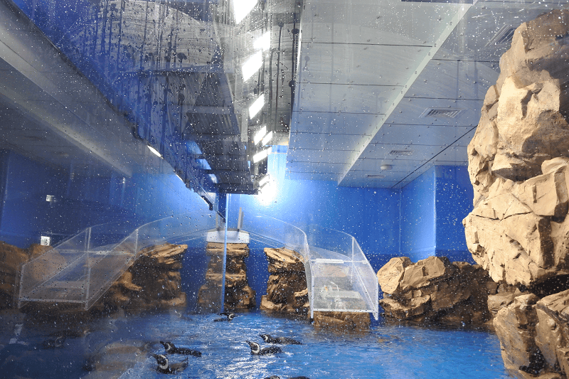 DSC_6082.png DSC_6082.png