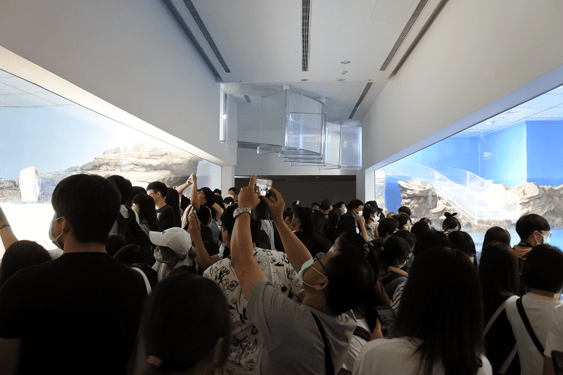 DSC_6086.png DSC_6086.png