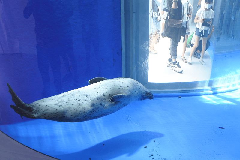 DSC_6057.png DSC_6057.png