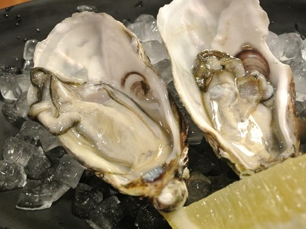 DSC_4130.jpg DSC_4130.jpg