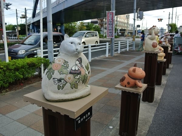 DSC_2029.jpg DSC_2029.jpg