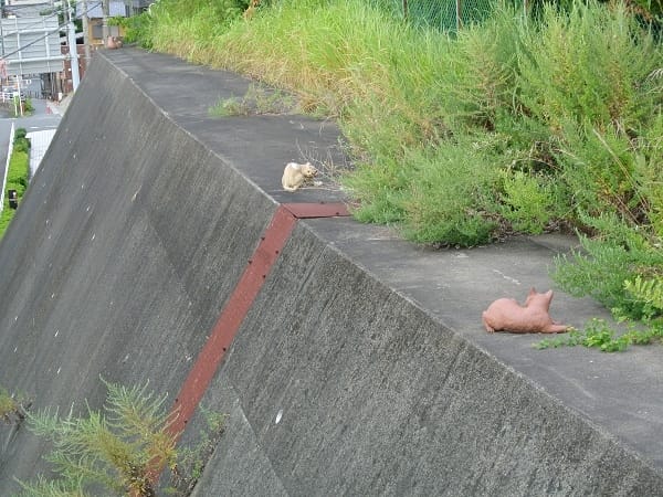 DSC_2042.jpg DSC_2042.jpg