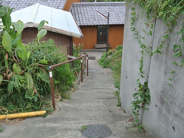 DSC_2047.jpg DSC_2047.jpg