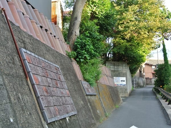 DSC_2061.jpg DSC_2061.jpg