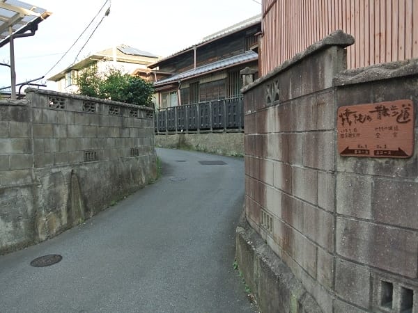 DSC_2067.jpg DSC_2067.jpg