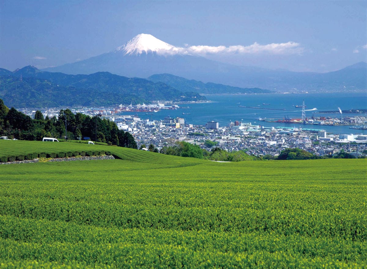 /tmp/phpB2qUTl /tmp/phpB2qUTl