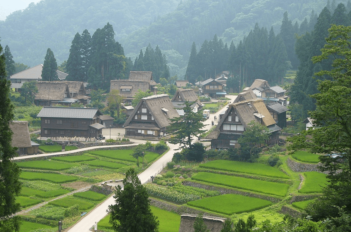 【鐵道旅行】冰見線&城端線途中下車的觀光景點7選及觀光列車瑰麗山海號~