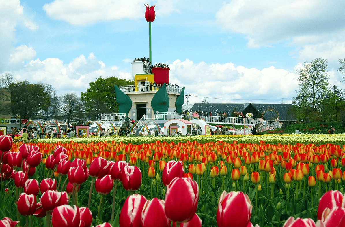 【鐵道旅行】冰見線&城端線途中下車的觀光景點7選及觀光列車瑰麗山海號~