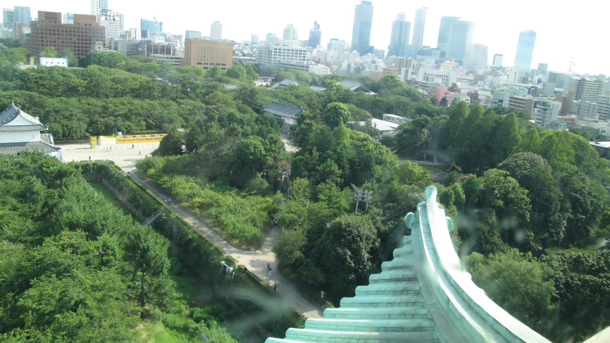 /tmp/phpof8YgO /tmp/phpof8YgO