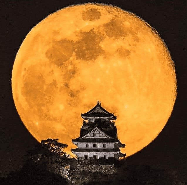 【岐阜】日本百大名城之岐阜城織田信長天下布武的起點