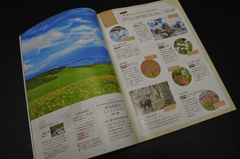 DSC_7751.png DSC_7751.png