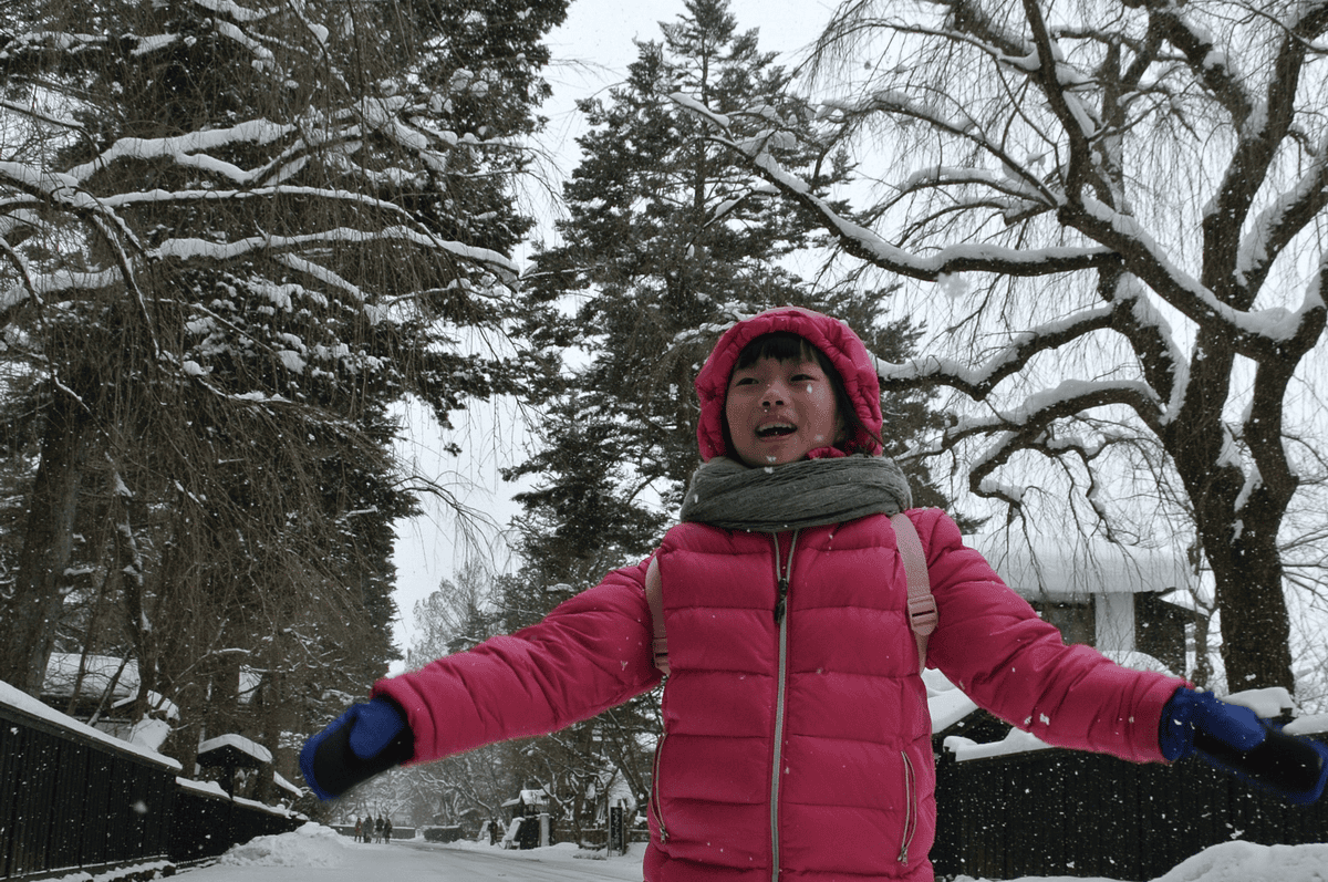 【秋田|角館】冬季造訪陸奧小京都~呈現黑白交織的角館雪景~