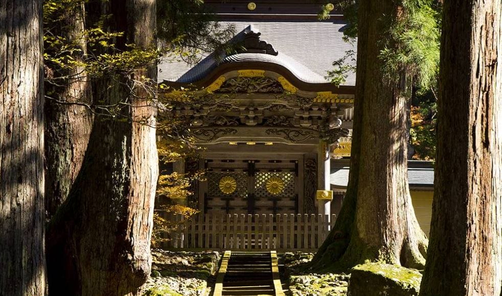 【行程規劃】北陸地區被忽略的城市~福井新玩法及景點大公開~