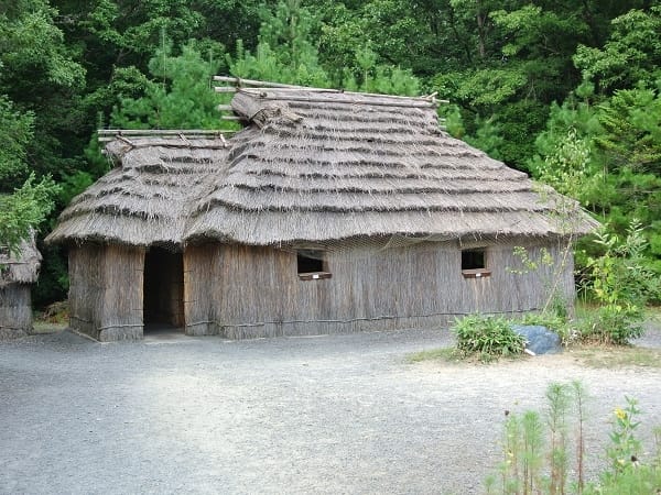 DSC_0470.jpg DSC_0470.jpg