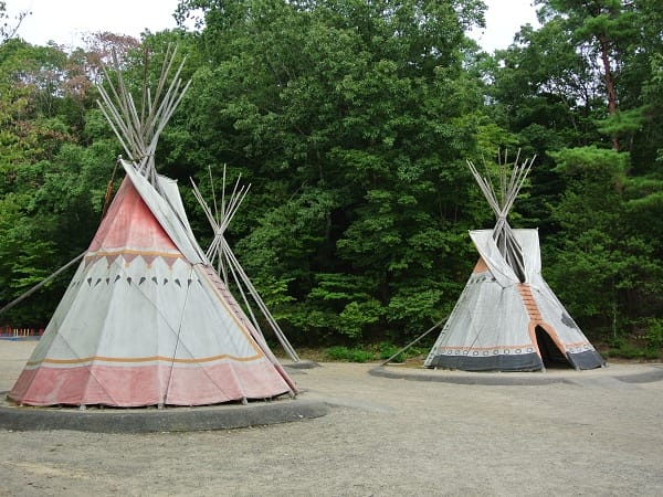 DSC_0479.jpg DSC_0479.jpg