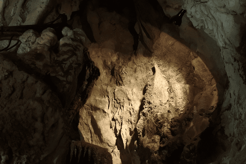 DSC_2066.png DSC_2066.png