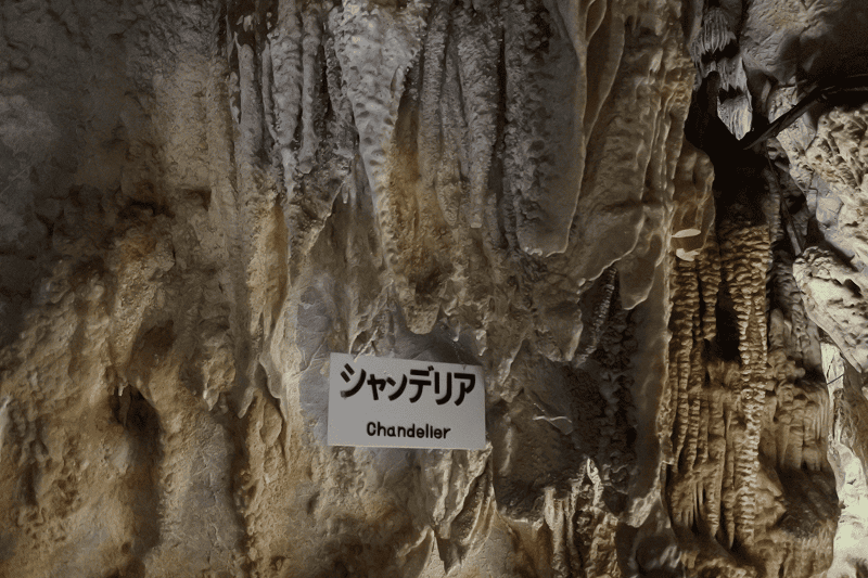 DSC_2062.png DSC_2062.png