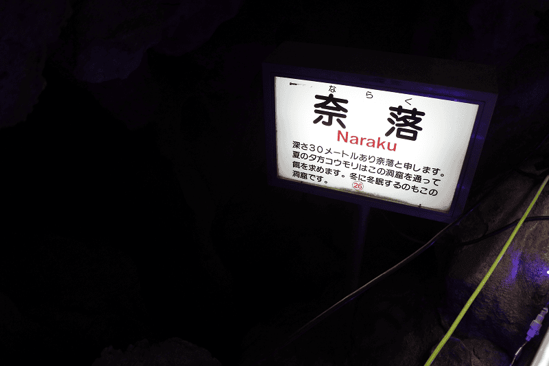 DSC_2091.png DSC_2091.png