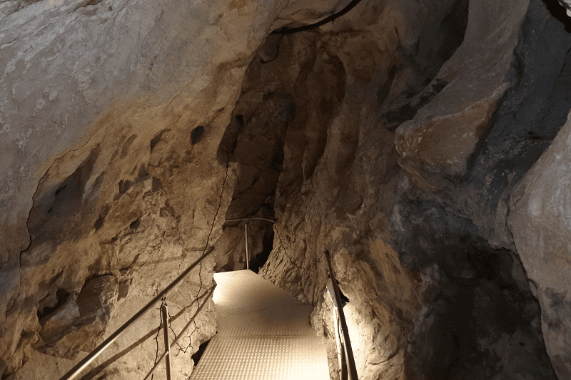 DSC_1992.png DSC_1992.png