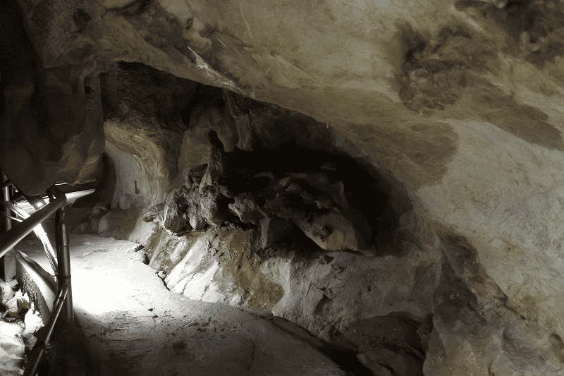 DSC_2046.png DSC_2046.png