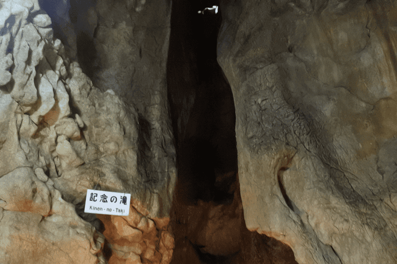 DSC_2017.png DSC_2017.png