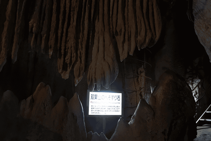 DSC_2055.png DSC_2055.png