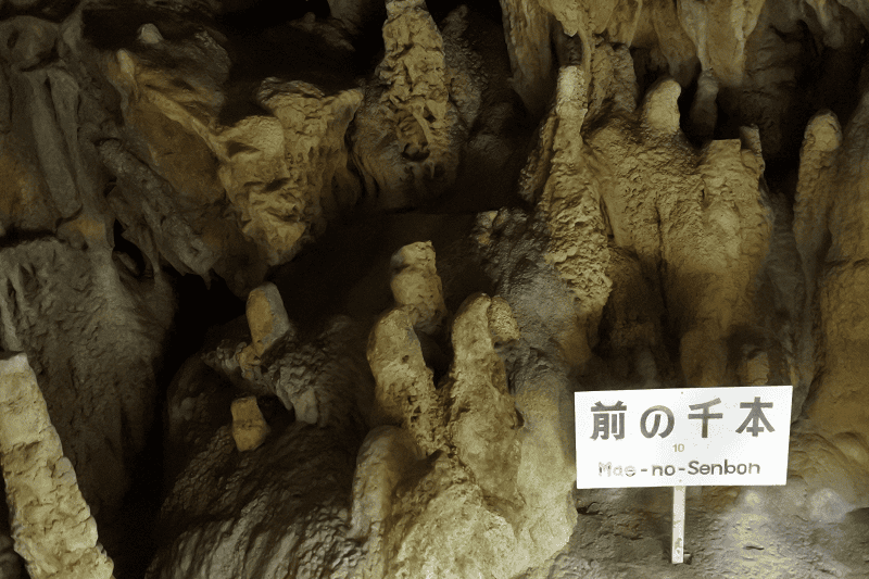 DSC_2029.png DSC_2029.png