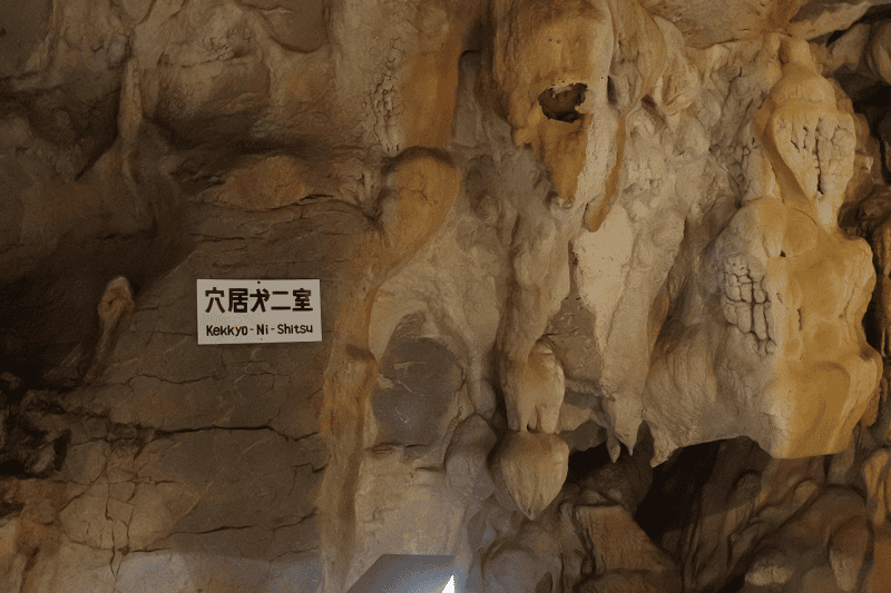 DSC_2107.png DSC_2107.png