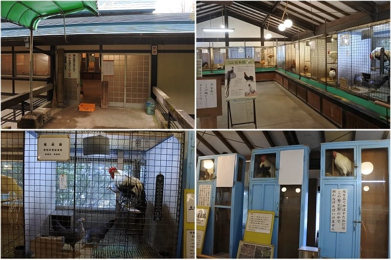 DSC_2121-1.jpg DSC_2121-1.jpg