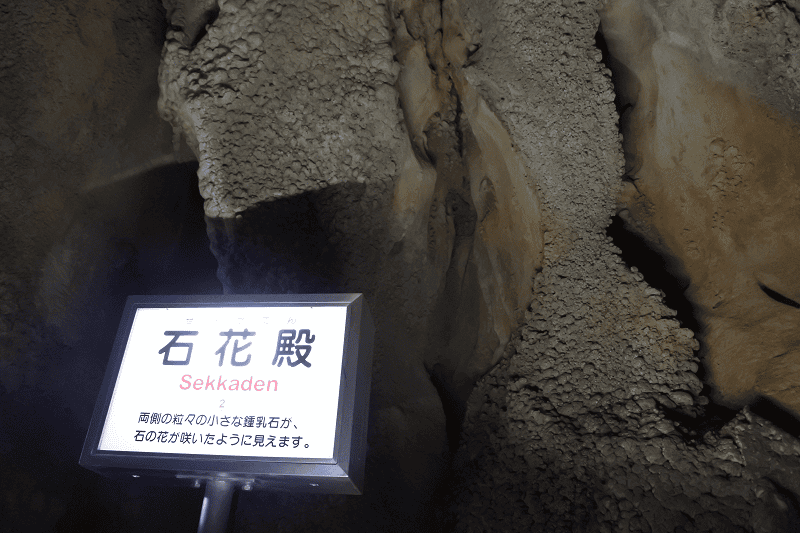 DSC_1998.png DSC_1998.png