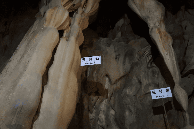 DSC_2028.png DSC_2028.png