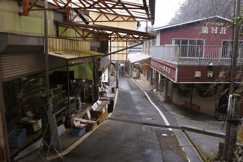 DSC_1988.png DSC_1988.png