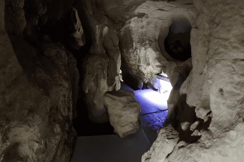 DSC_1996.png DSC_1996.png