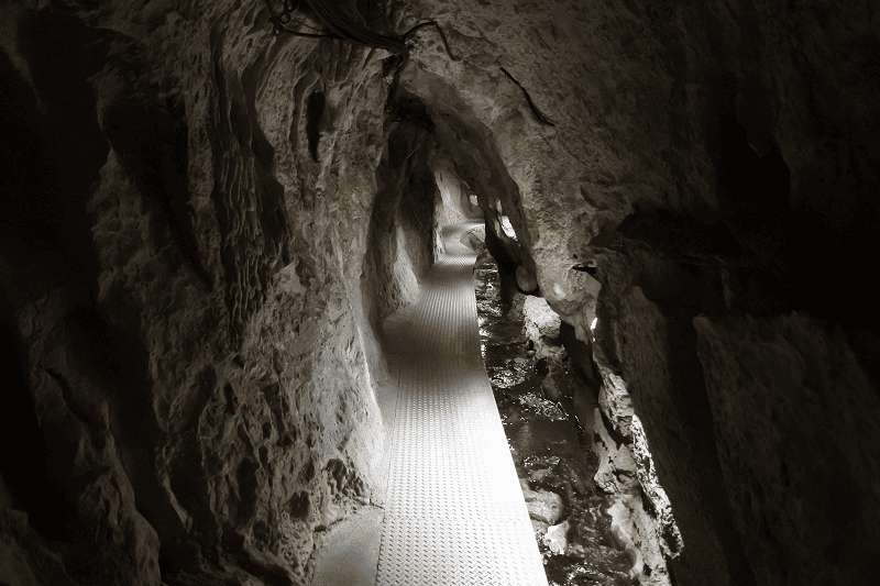 DSC_1995.png DSC_1995.png