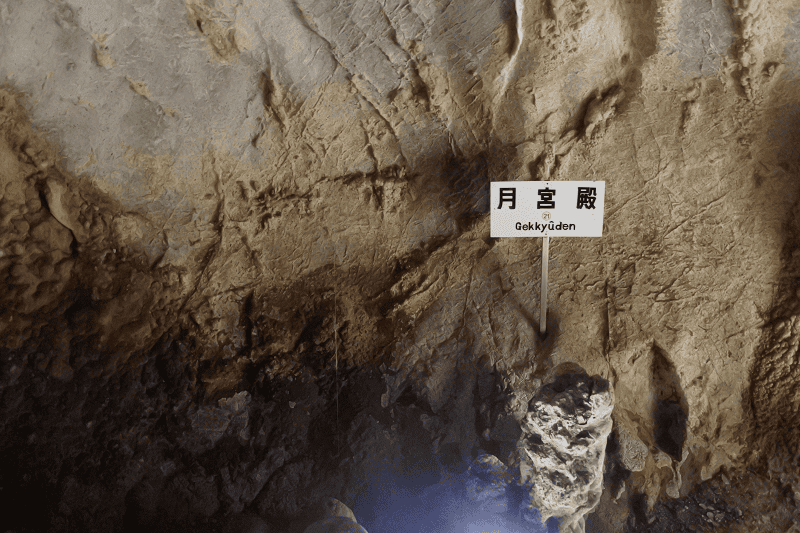 DSC_2061.png DSC_2061.png