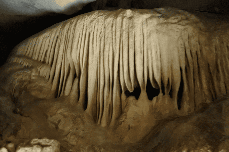 DSC_2047.png DSC_2047.png