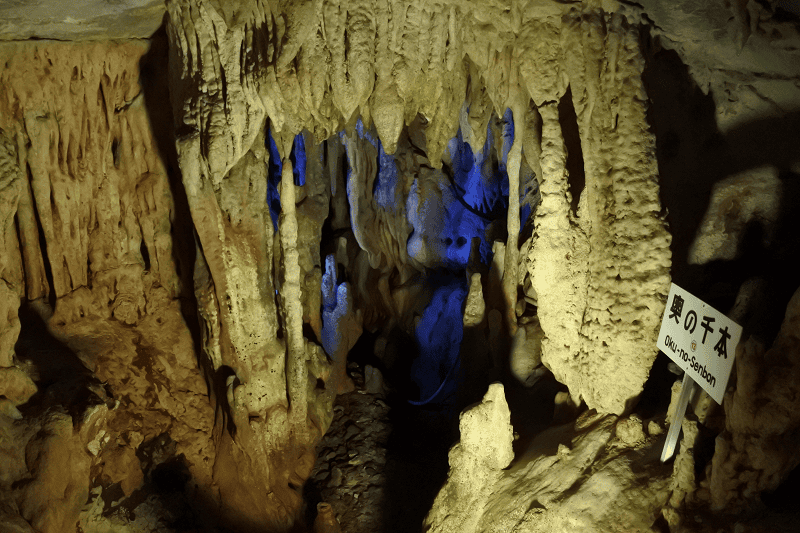 DSC_2040.png DSC_2040.png