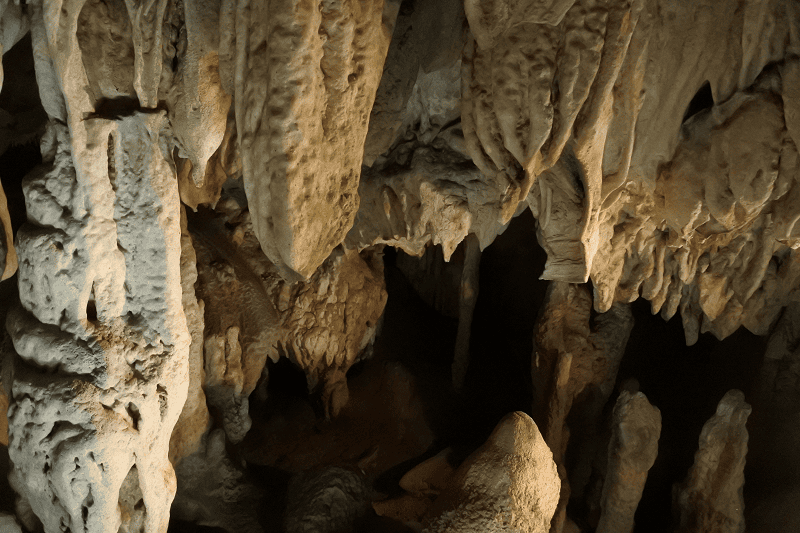 DSC_2035.png DSC_2035.png