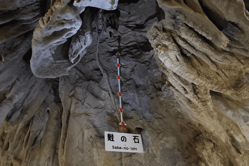 DSC_2064.png DSC_2064.png