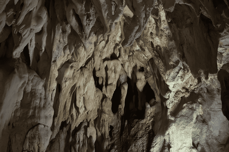 DSC_2076.png DSC_2076.png