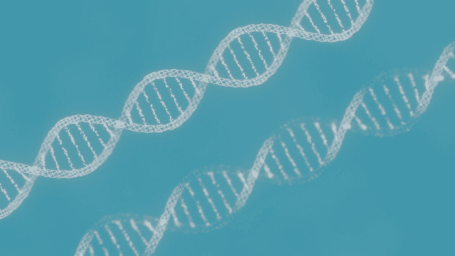 【讀後心得】透明的螺旋~以親子血緣為主題、同時揭曉湯川學過去不為人知的秘密~