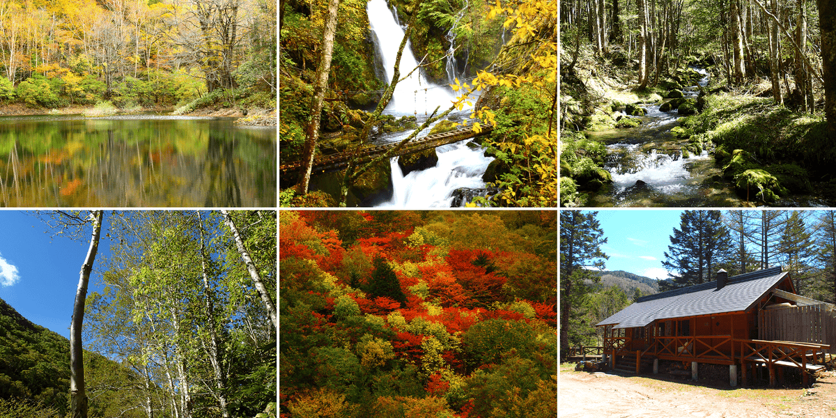 【岐阜|高山】乘鞍山脈秘境五色原之森、交通方式及濃飛巴士行程路線解說~