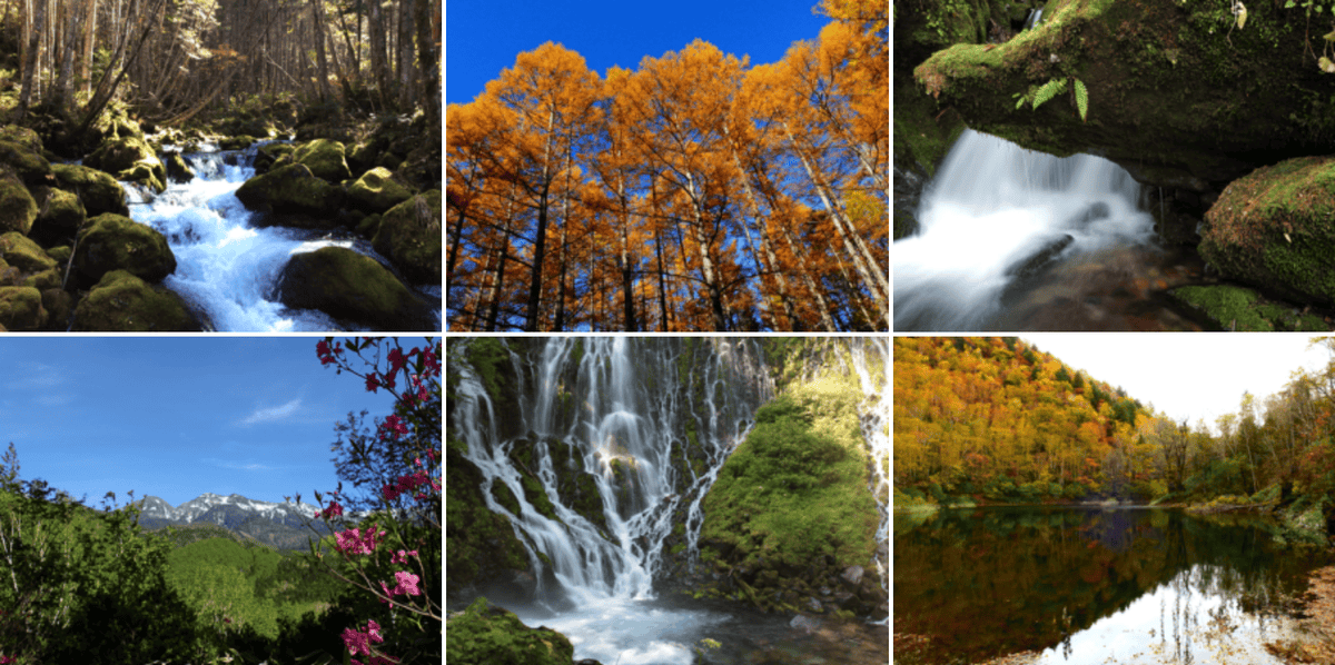 【岐阜|高山】乘鞍山脈秘境五色原之森、交通方式及濃飛巴士行程路線解說~