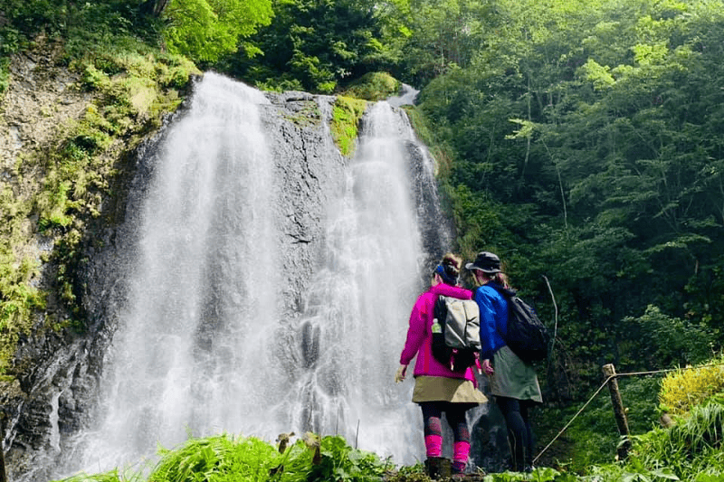 【岐阜|高山】乘鞍山脈秘境五色原之森、交通方式及濃飛巴士行程路線解說~