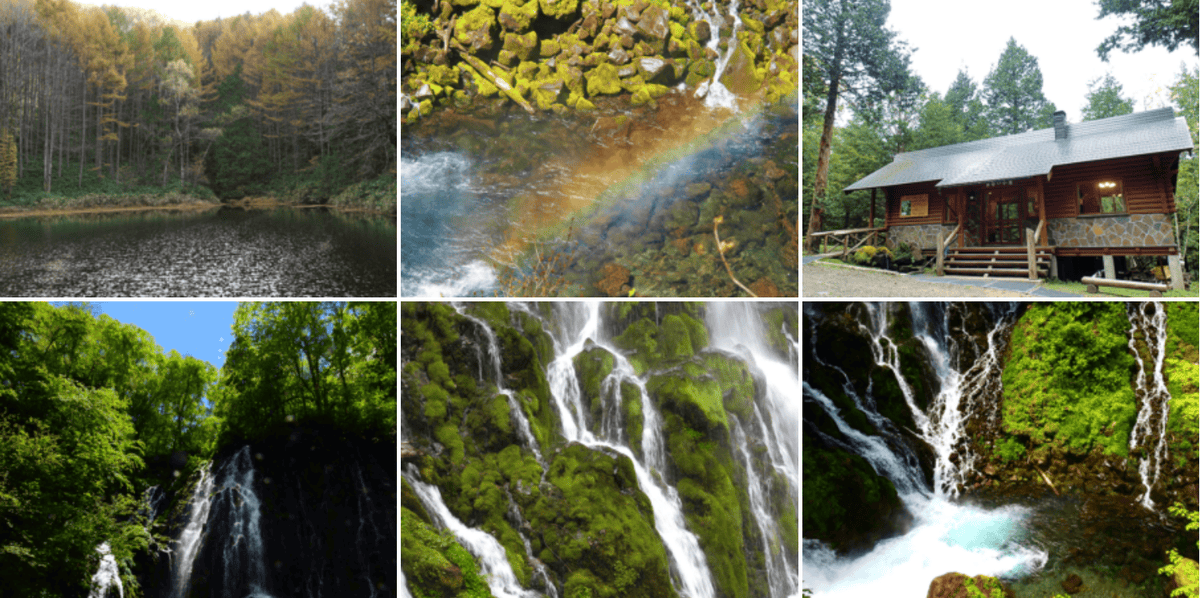 【岐阜|高山】乘鞍山脈秘境五色原之森、交通方式及濃飛巴士行程路線解說~