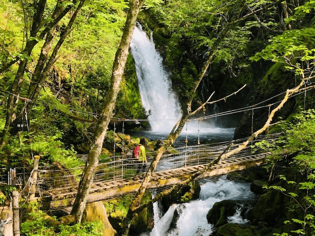 【岐阜|高山】乘鞍山脈秘境五色原之森、交通方式及濃飛巴士行程路線解說~
