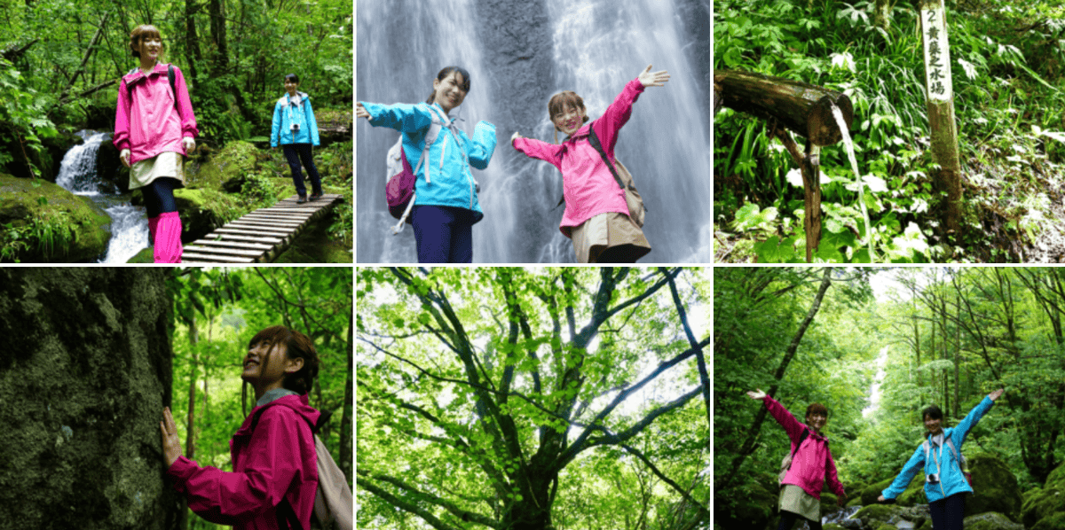 【岐阜|高山】乘鞍山脈秘境五色原之森、交通方式及濃飛巴士行程路線解說~