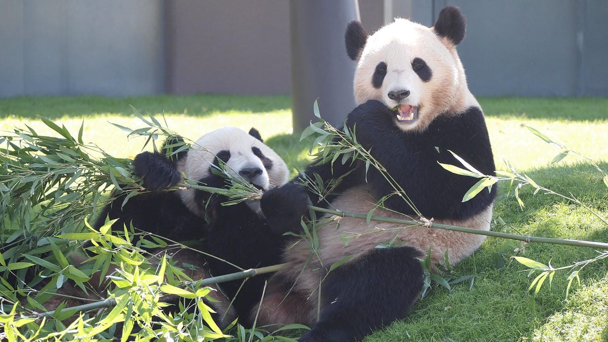 /tmp/php4A74XF /tmp/php4A74XF