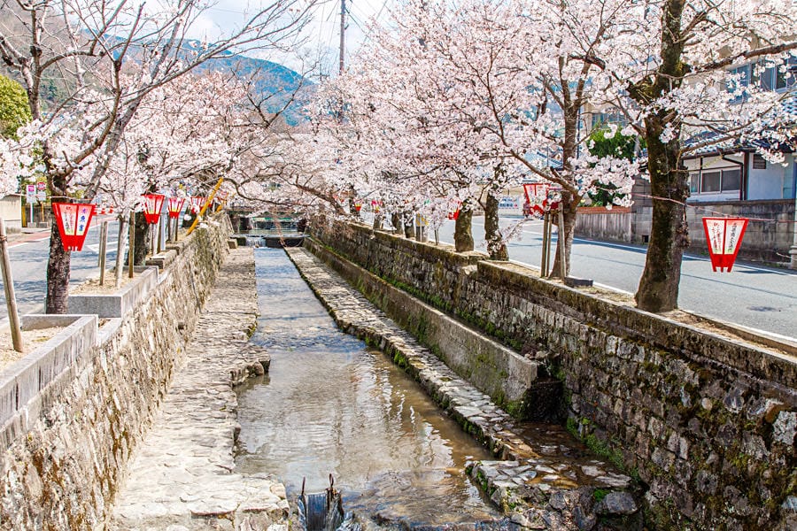 /tmp/phpFkX4sK /tmp/phpFkX4sK